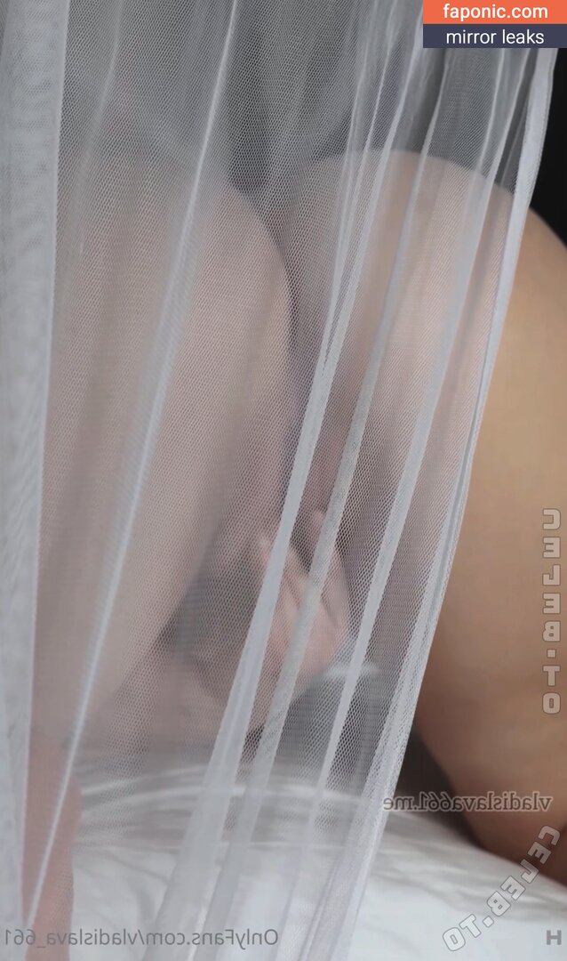 Vladislava Shelygina